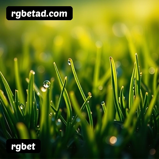 App rgbet para iOS e Android — interface mobile, login biométrico e PIX integrado